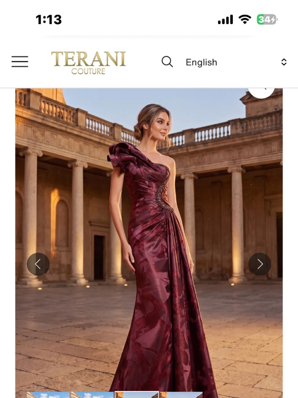 Dress Terani